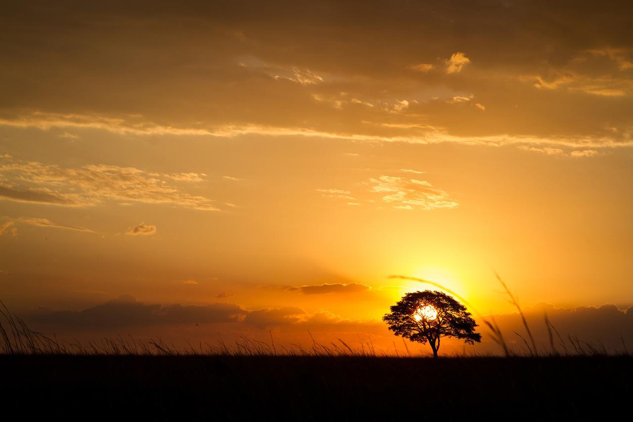 Ezemvelo Nature Reserve Hotel Vaalplaas ภายนอก รูปภาพ
