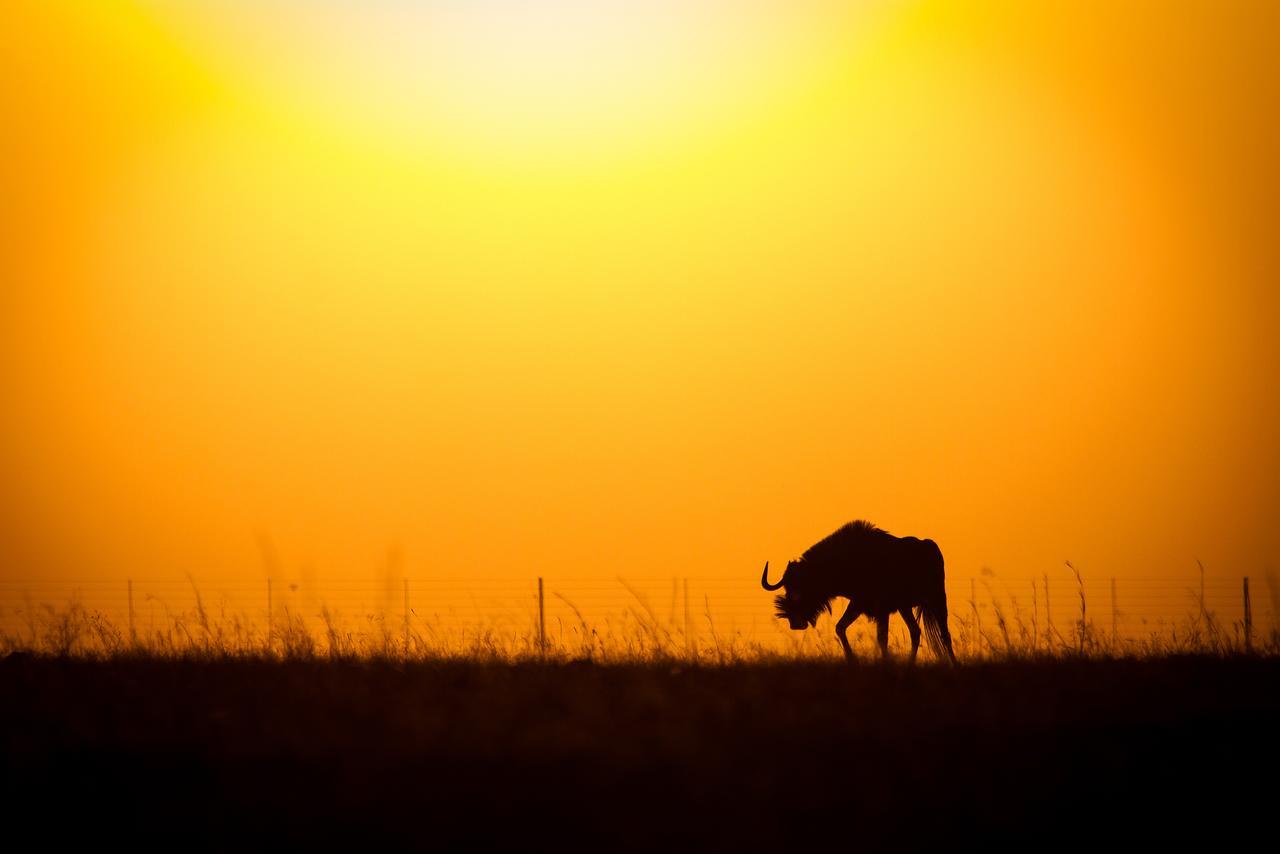Ezemvelo Nature Reserve Hotel Vaalplaas ภายนอก รูปภาพ